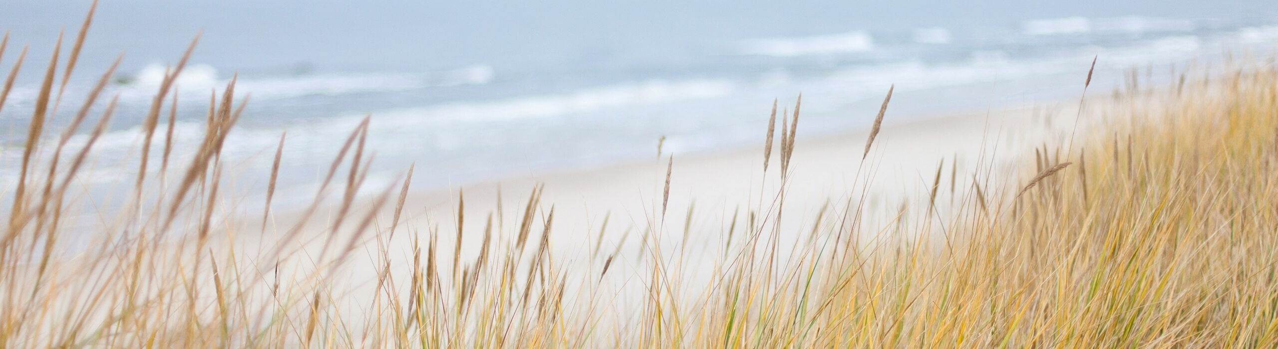 Dünengras, Strand und Meer